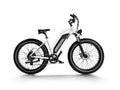 Himiway Cruiser D3 - All Terrain E-Bike-0